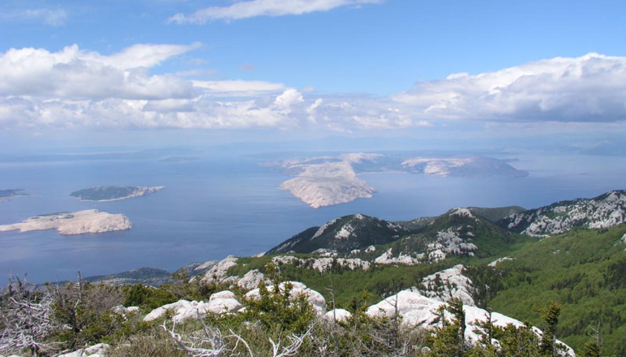 Velebit